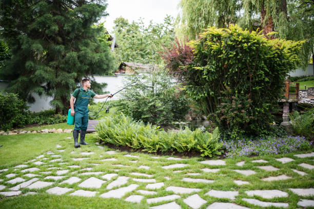 Best Storm Damage Tree Cleanup  in Lakeview, WA